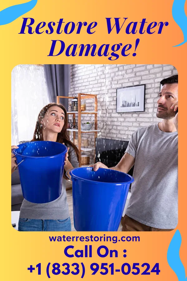 water restoration Horizon Water Removal Pros Gardiner