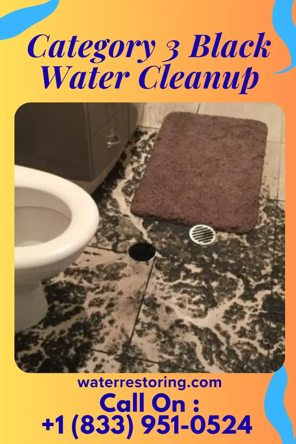 Category 3 Black Water Cleanup in Gardiner, ME